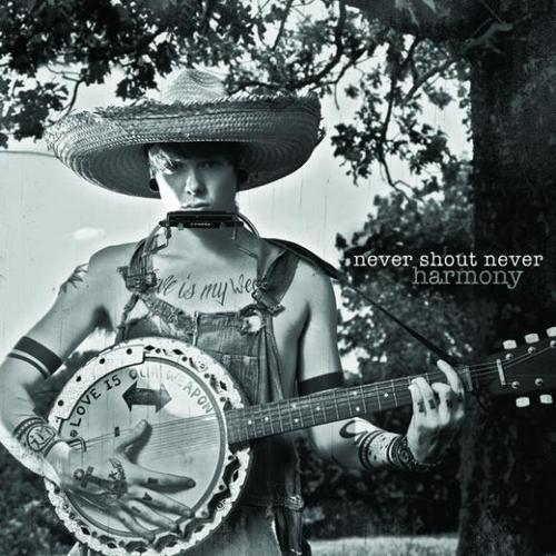 hawthorne heights the silence in black and white album cover. The cover art for Never Shout
